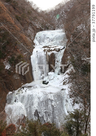 袋田の氷瀑 37791199