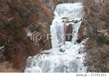 袋田の氷瀑 37791201
