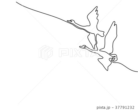 Continuous one line drawing. Flying Swans logo 37791232