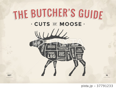 Butcher diagram, scheme - Moose 37791233