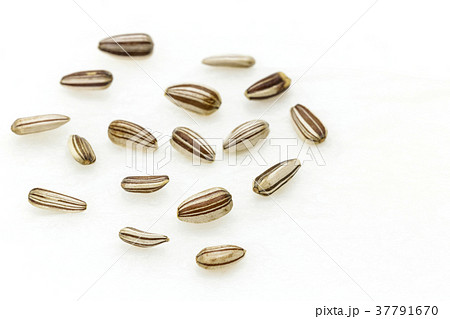 ひまわりの種 37791670