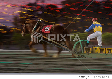 ばんえい競馬 ばんえい競馬 37791871