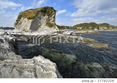 冬の三浦半島高磯、三浦岩礁のみち  37792326