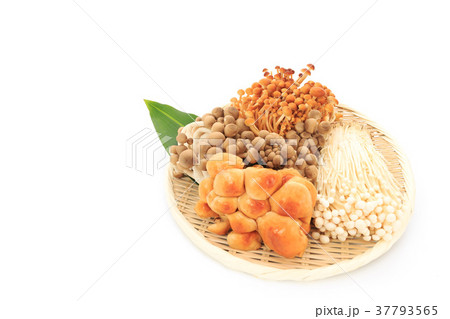 食材　きのこの盛り合わせ 37793565