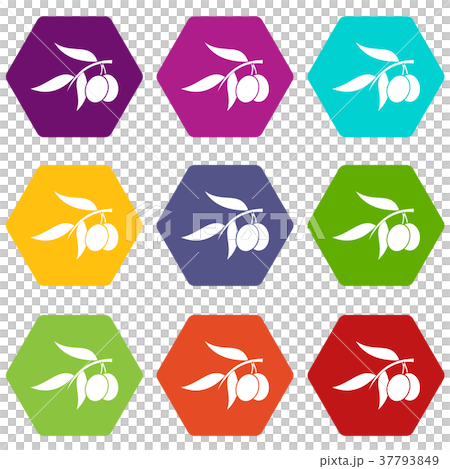 Olive tree branch with two olives icon set color hexahedron Olive tree branch with two olives icon set color hexahedron 37793849