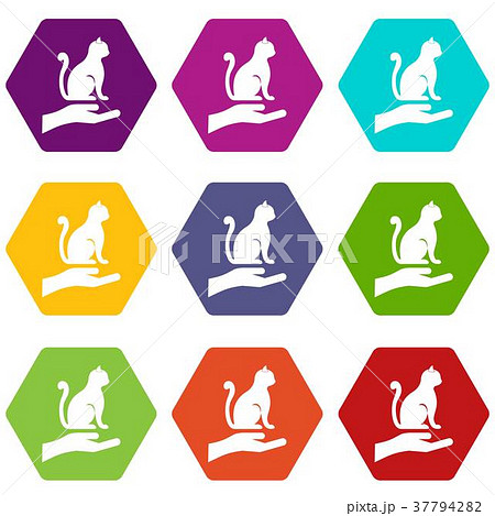 Hand holding a cat icon set color hexahedron Hand holding a cat icon set color hexahedron 37794282
