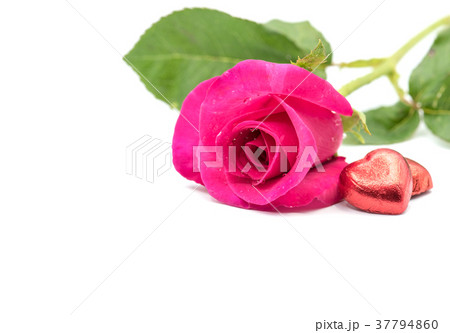Valentines day, love concept with heart and rose Valentines day, love concept with heart and rose 37794860