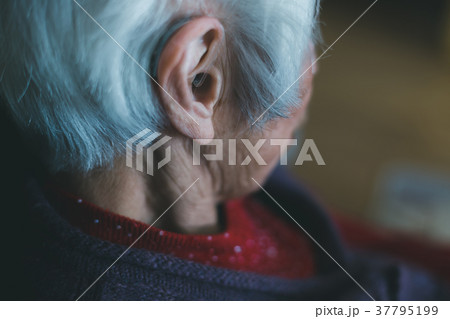 hearing aid 37795199