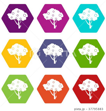 Apples on apple tree branches icon set color hexahedron 37795883