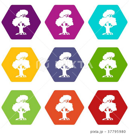 Oak icon set color hexahedron 37795980