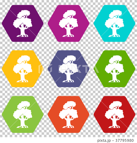 Oak icon set color hexahedron Oak icon set color hexahedron 37795980