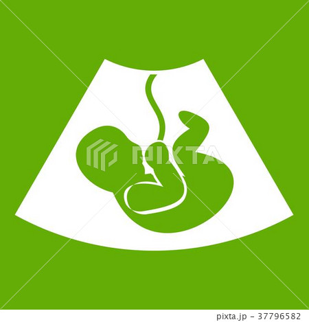 Ultrasound fetus icon green 37796582