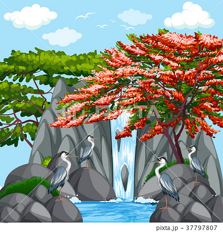 Background scene with birds by the waterfall Background scene with birds by the waterfall 37797807