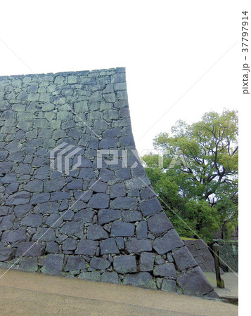 熊本城石垣 熊本城石垣 37797914