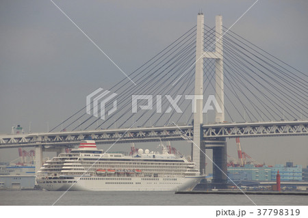 大さん橋に係留中の飛鳥Ⅱ 37798319