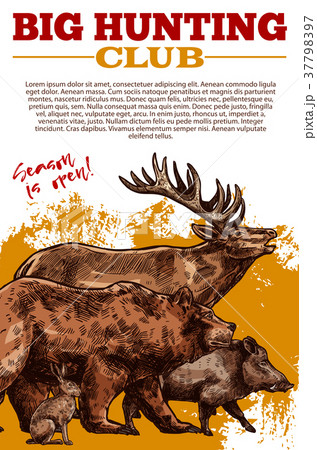 Vector sketch poster of hunting club wild animals 37798397