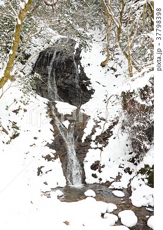 雪の音無しの滝 37798398