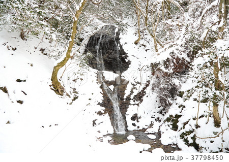 雪の音無しの滝 雪の音無しの滝 37798450
