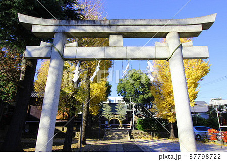 成宗須賀神社 成宗須賀神社 37798722