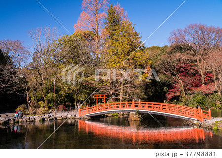 【静岡県】富士山本宮浅間大社の湧玉池 【静岡県】富士山本宮浅間大社の湧玉池 37798881