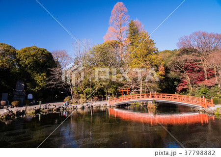 【静岡県】富士山本宮浅間大社の湧玉池 【静岡県】富士山本宮浅間大社の湧玉池 37798882