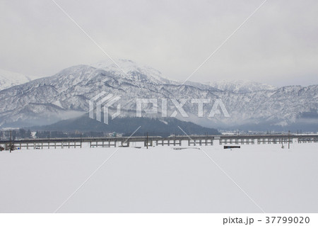 浦佐付近を走行する上越新幹線E4系Max（16両） 37799020