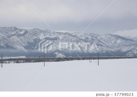 浦佐付近を走行する上越新幹線E4系Max（16両） 37799023