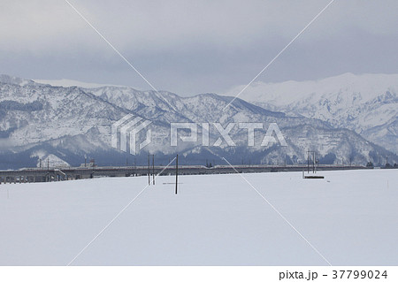 浦佐付近を走行する上越新幹線E4系Max（16両） 37799024