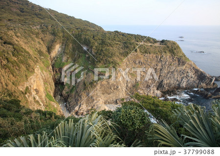 足摺岬灯台より「天狗の鼻」を展望「日本の灯台50選」（四国最南端の地） 37799088