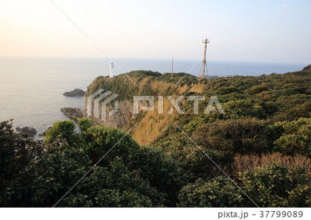 足摺岬の天狗の鼻から足摺岬灯台を展望「日本の灯台50選」（四国最南端の地） 37799089