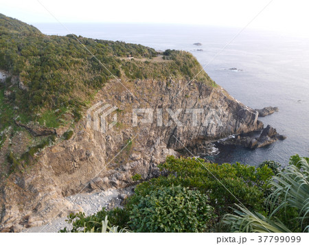 足摺岬灯台より「天狗の鼻」を展望「日本の灯台50選」（四国最南端の地） 37799099