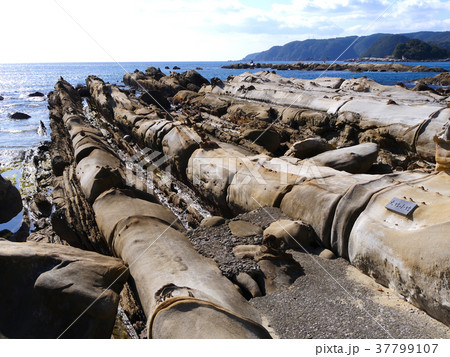 足摺岬、竜串海岸、大竹小竹の石（四国最南端の地） 37799107