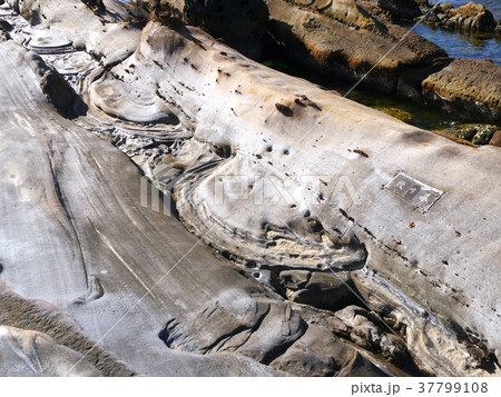 足摺岬、竜串海岸、絞り幕の石（四国最南端の地） 37799108