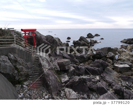 室戸岬に程近い羽根岬、龍宮神社の赤鳥居「室戸ジオパーク」(高知県） 37799120