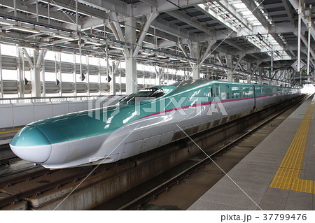 新青森駅に停車中の東北新幹線E5系 37799476