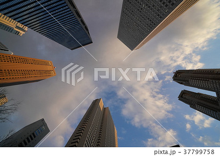 日本の東京都市景観・夕方（新宿の超高層ビル街） 37799758
