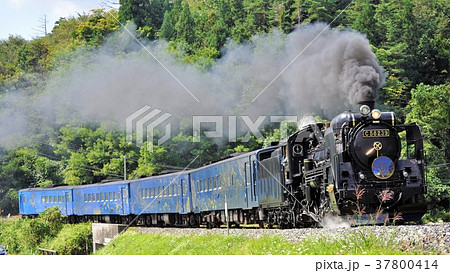 SL銀河 編成写真 SL銀河 編成写真 37800414