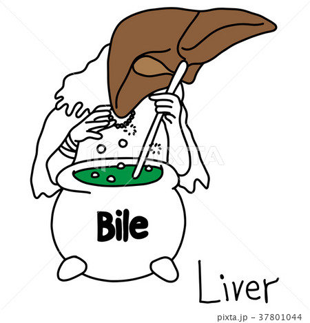 metaphor function of a liver to produce bile  37801044