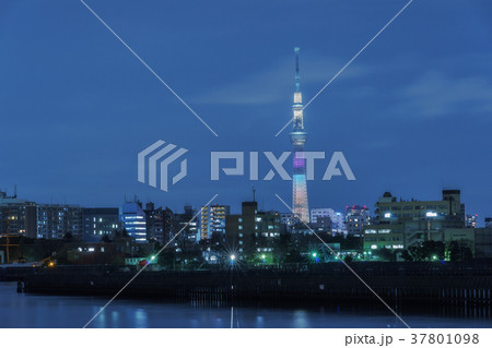 春海運河と東京スカイツリーの夜景 春海運河と東京スカイツリーの夜景 37801098