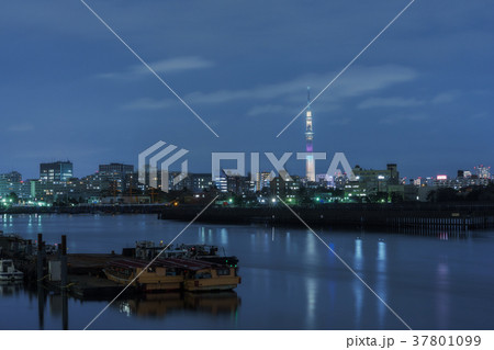 春海運河と東京スカイツリーの夜景 春海運河と東京スカイツリーの夜景 37801099