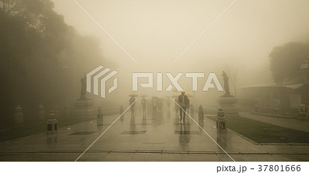 People walking into the misty foggy road People walking into the misty foggy road 37801666
