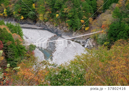 寸又峡猿並橋 寸又峡猿並橋 37802416
