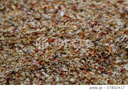 微小貝 微小貝 37802417