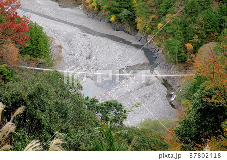 寸又峡猿並橋 37802418