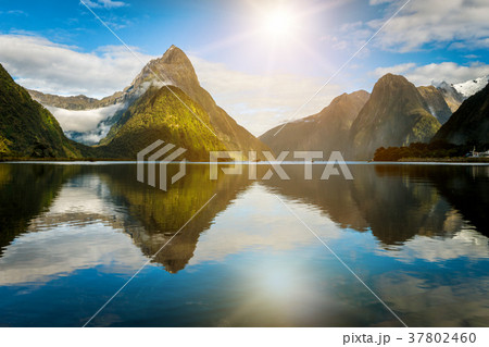 Milford Sound in New Zealand Milford Sound in New Zealand 37802460