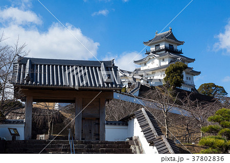 静岡・掛川城 静岡・掛川城 37802836