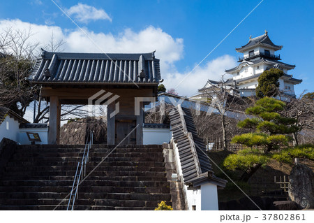 静岡・掛川城 37802861