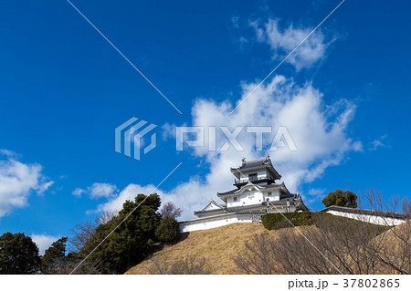 静岡・掛川城 37802865