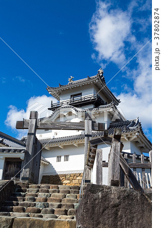 静岡・掛川城 37802874