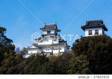 静岡・掛川城 静岡・掛川城 37802920